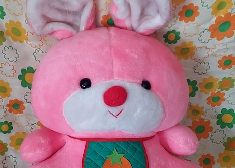 みかんのスタイが可愛い🍊うさぎのぬいぐるみ