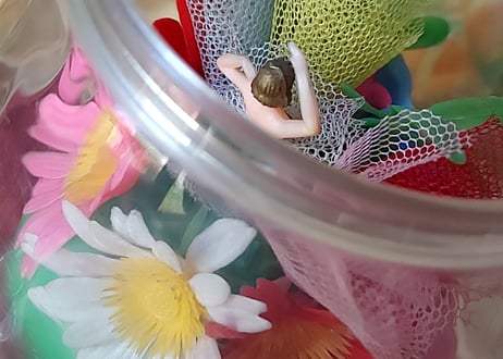 *️⃣Junk*️⃣  バレリーナと造花のオルゴール