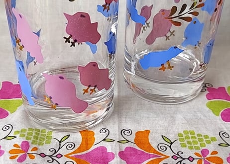 チープな鳥さんのゾンビグラス🐦