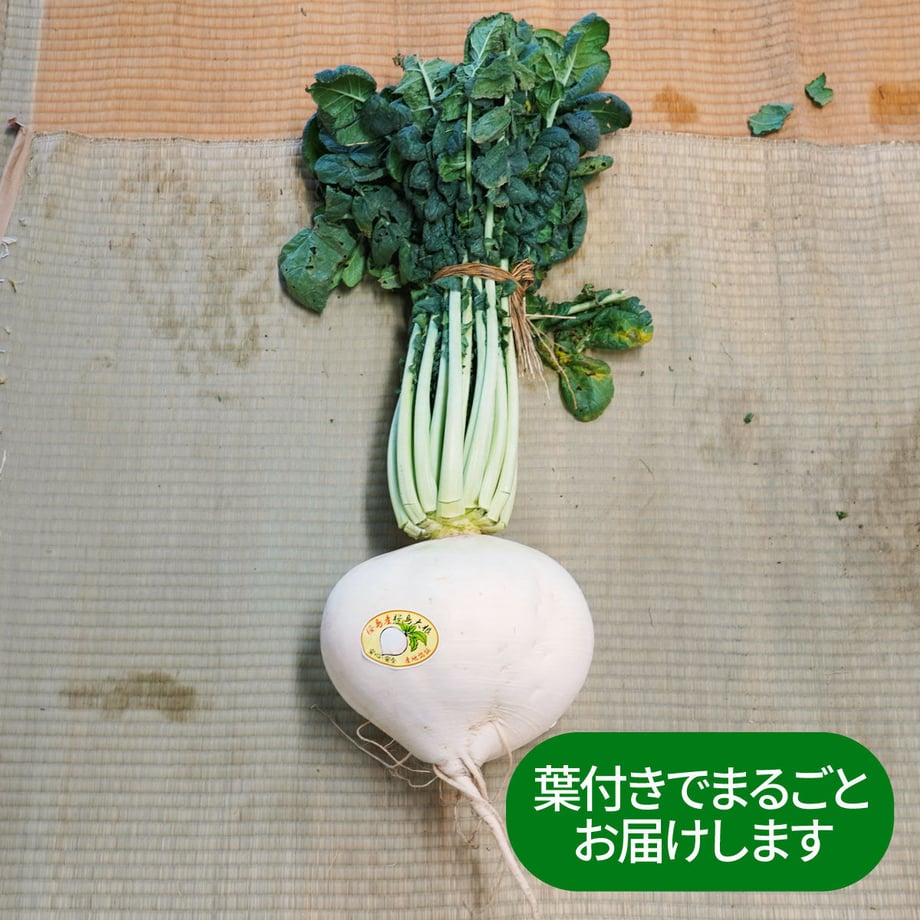 6003dd2df0b1084ad33104f5