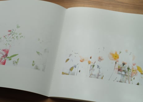 写真集「接ぐ(はぐ)」