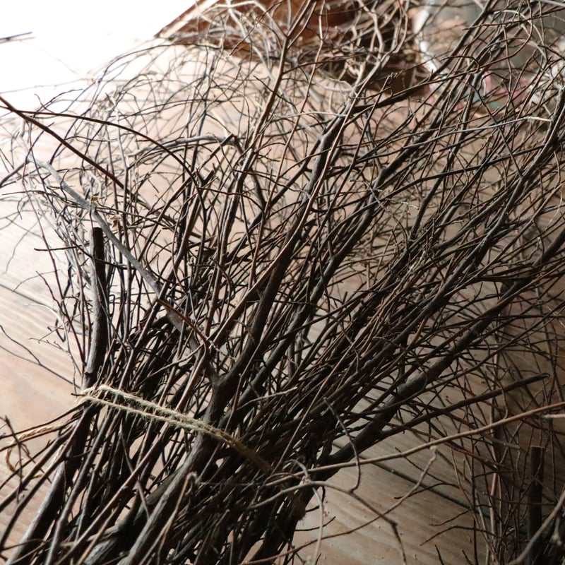 SHIKINOKA TEA Spice bush （くろもじ） | SHIKINOKA