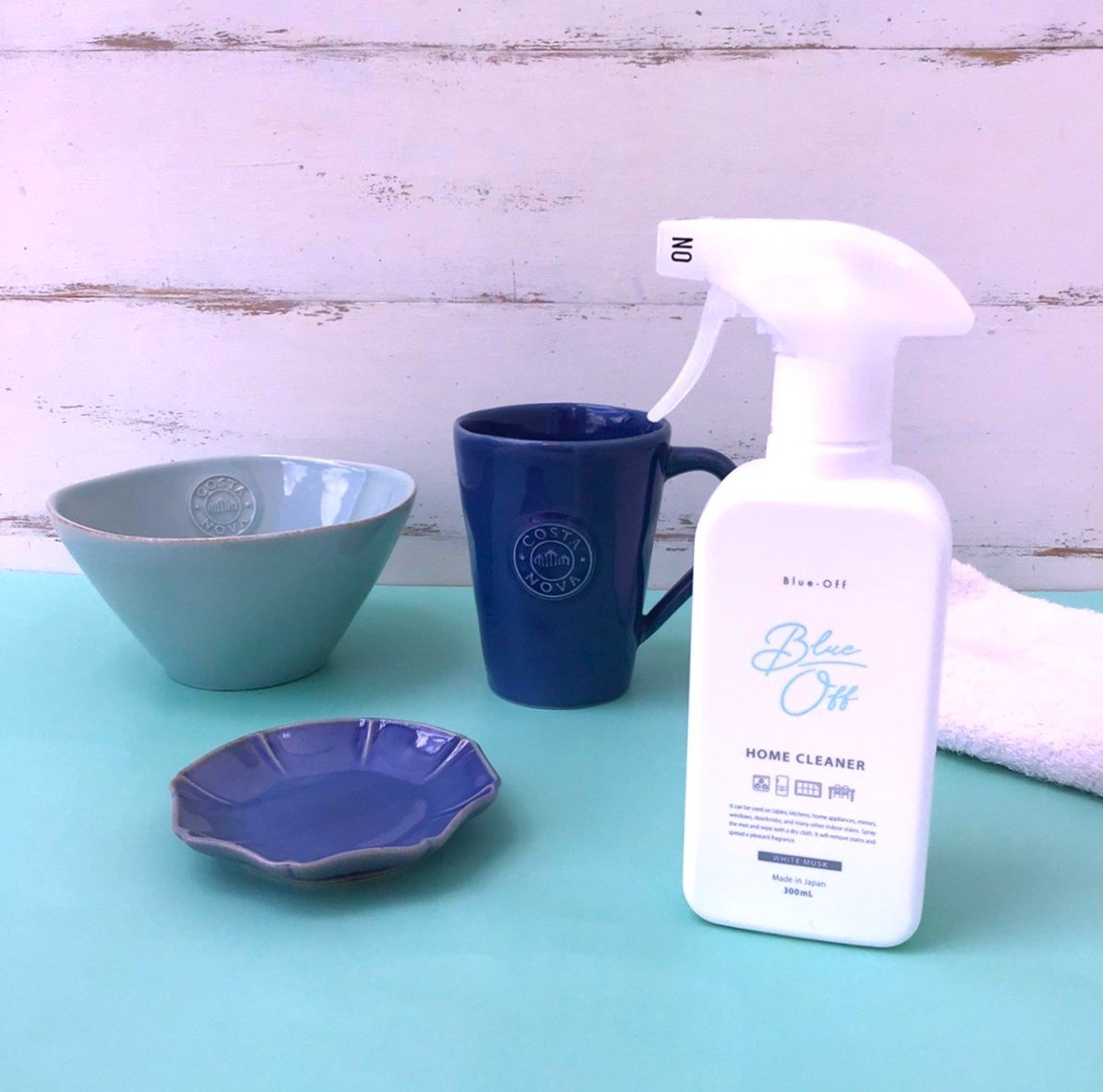 掃除機・クリーナー BLUEGREENSURF キャニスタークリーナー】 SWEEPLUS（スウィープラス） ［CT