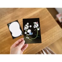 ポストカード　「アレチノギク」