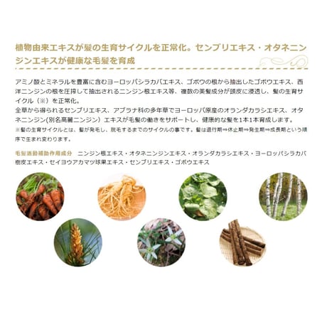 【定期便】クリスバン ヘアソープ プレミアム　400ml　2本 【送料込】 （40040-04）