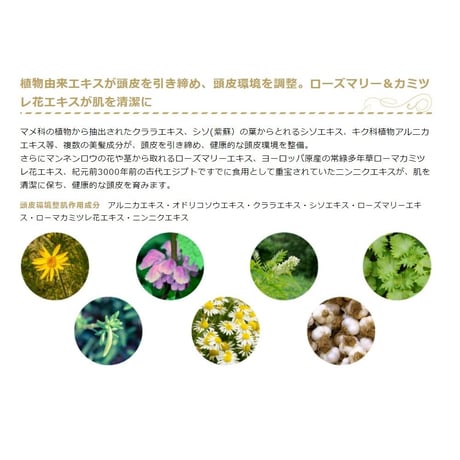 【定期便】クリスバン ヘアソープ プレミアム　400ml　1本【送料込】 （40040-03）