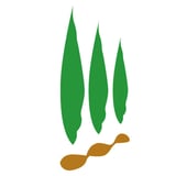 Brand New Tokachi ONLINE STORE