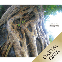 RaBiRaBi×Piko：Rootglyph（2008）- Remastesed（DIGITAL ALBUM）