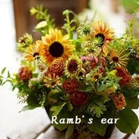 父の日　5８００円お任せアレンジメント♪
