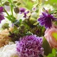 父の日　８０００円お任せアレンジメント♪