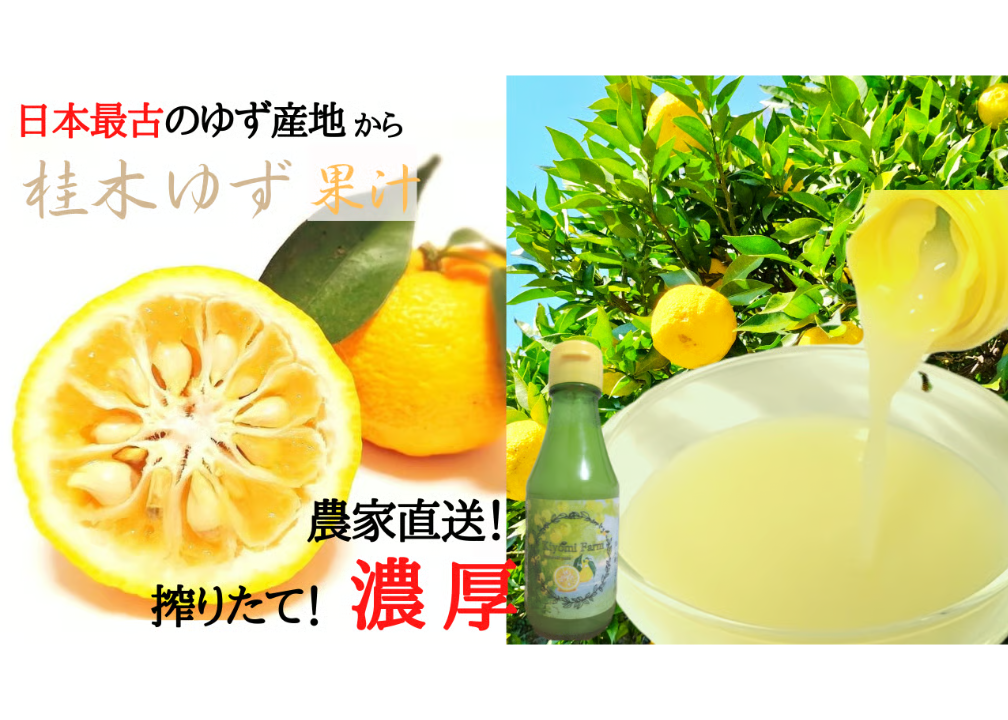 2024年新商品🍊】搾りたて「桂木ゆず果汁」150ml 1本 | 日本最古の
