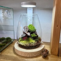 ガラスポットMARU130レイアウト(1) | MaCO frog design