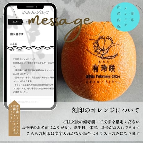 【 柑橘にメッセージを刻める 】茨城メロンと山形佐藤錦の果物ギフト