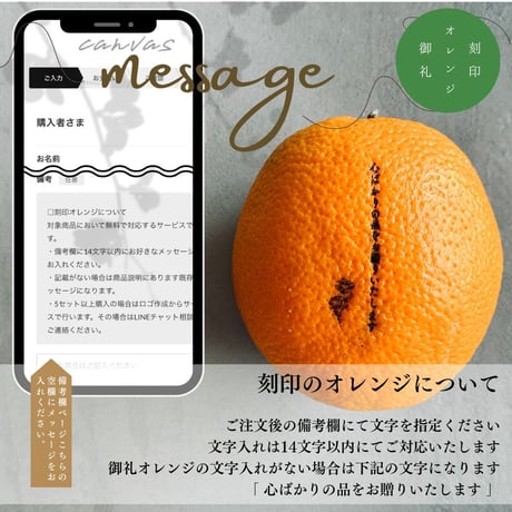 【 柑橘にメッセージを刻める 】茨城メロンと山形佐藤錦の果物ギフト
