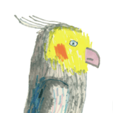 OKAME ZAKKA