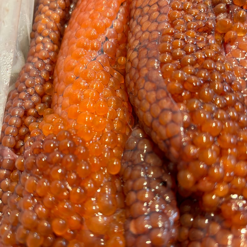 旬‼️北海道産 鮭生筋子 1kg(冷蔵発送) | おたる夢市場