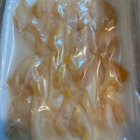 入荷‼️お刺身用つぶ刺身　20枚