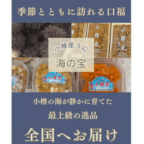 2025年も解禁‼️小樽産　塩水ウニ　(冷蔵発送のみ)