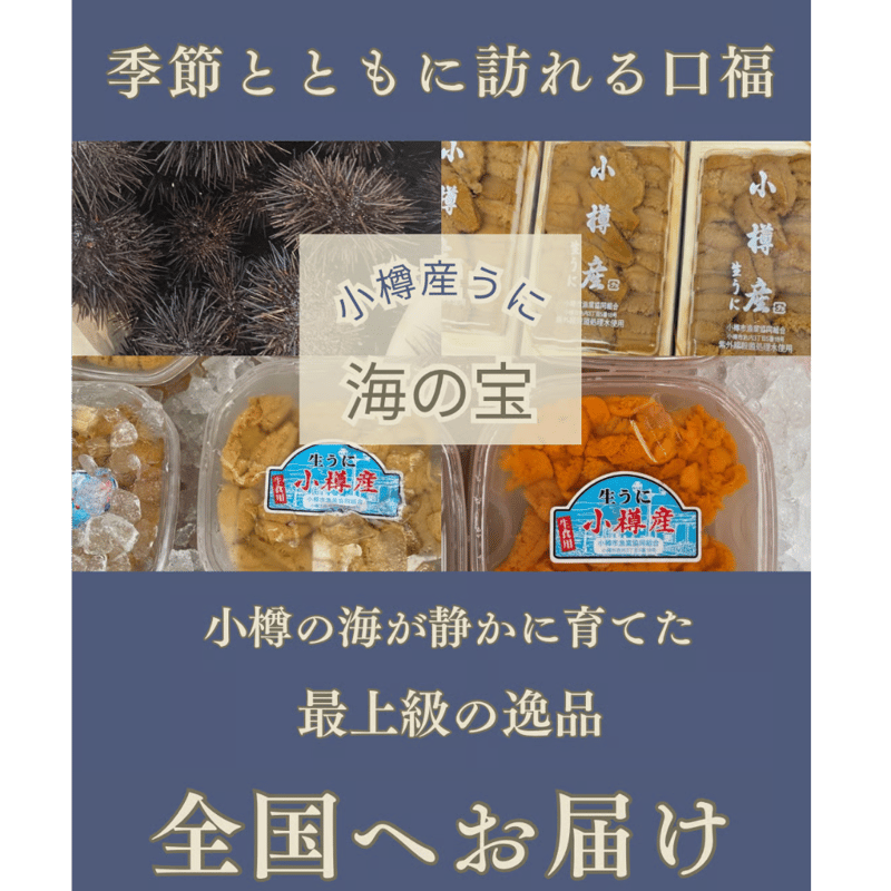 うに 2025年も解禁‼️小樽産 塩水ウニ (冷蔵発送のみ) | おたる夢市場