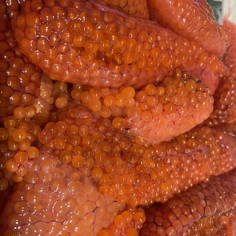 ⚠️限定⚠️なまら安い‼️北海道産秋鮭生筋子　1kg‼️