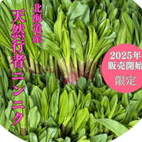 道民大好き　2026年北海道産天然行者ニンニク