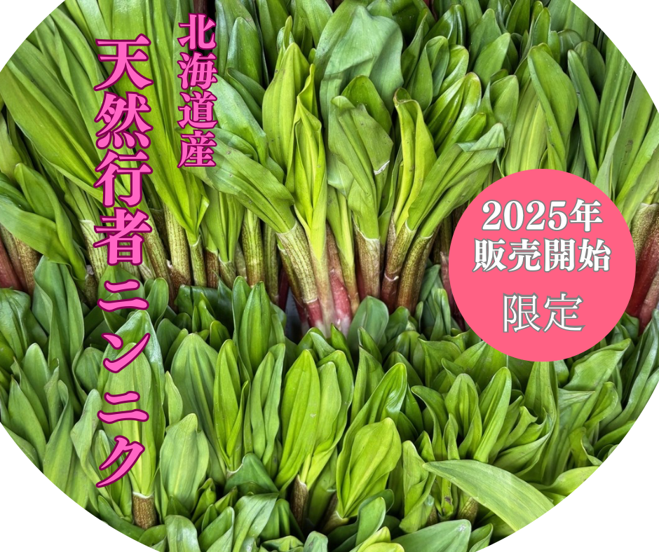 道民大好き 2026年北海道産天然行者ニンニク | おたる夢市場