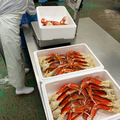 おたる夢市場オリジナル　ズワイ蟹の足2kセット🦀