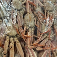 入荷‼️北海道産　女ズワイ蟹約1kg🦀