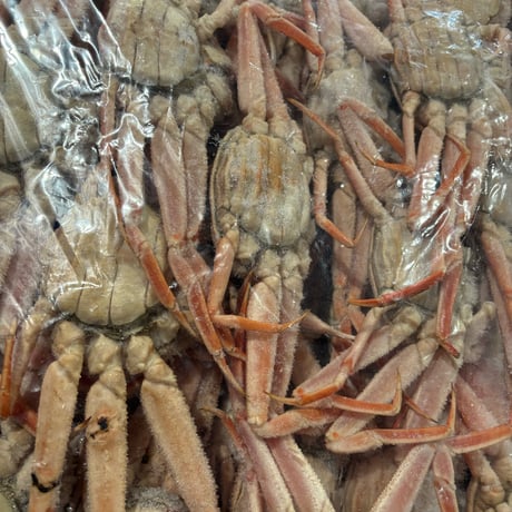 入荷‼️北海道産　女ズワイ蟹約1kg🦀