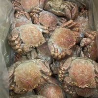 超大容量‼️北海道産冷凍毛蟹12kg🦀