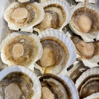 なまら安い‼️北海道産冷凍片貝(冷凍発送のみ) 1枚セット