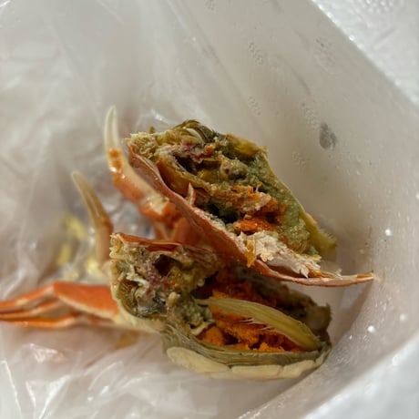 入荷‼️北海道産　女ズワイ蟹約1kg🦀