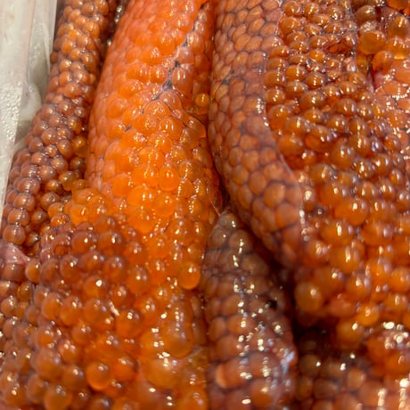 ⚠️限定⚠️なまら安い‼️北海道産秋鮭生筋子　1kg‼️