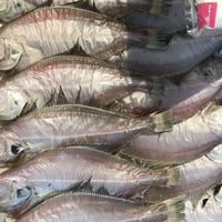 余市産　干宗八　1枚　(冷凍　冷蔵可)