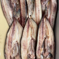 礼文島産　開きホッケ