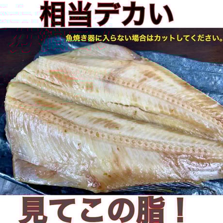 超特大‼️　なまら脂ノリノリシマホッケ　3枚