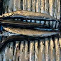 なんまら安い‼️北海道産冷凍汐さんま　10尾