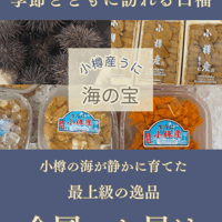 2026年　解禁　小樽産ムラサキ塩水にーうー