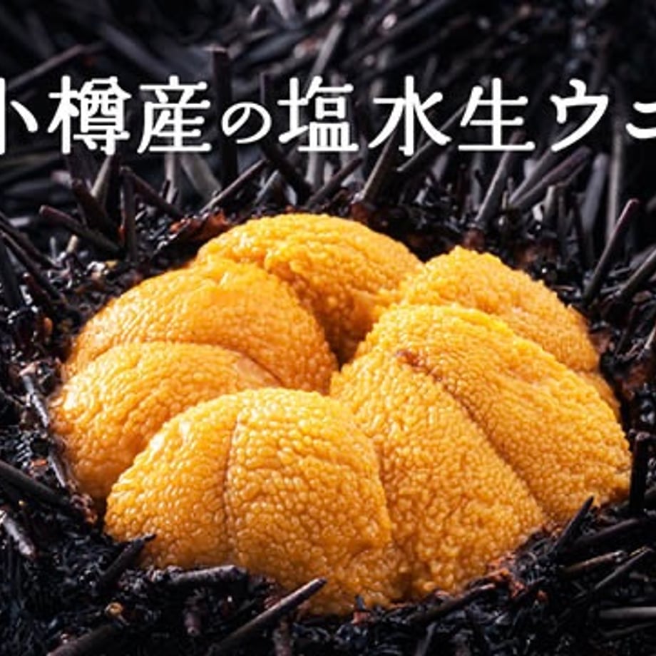 6a0b7a2786db81d74a9d7ef1