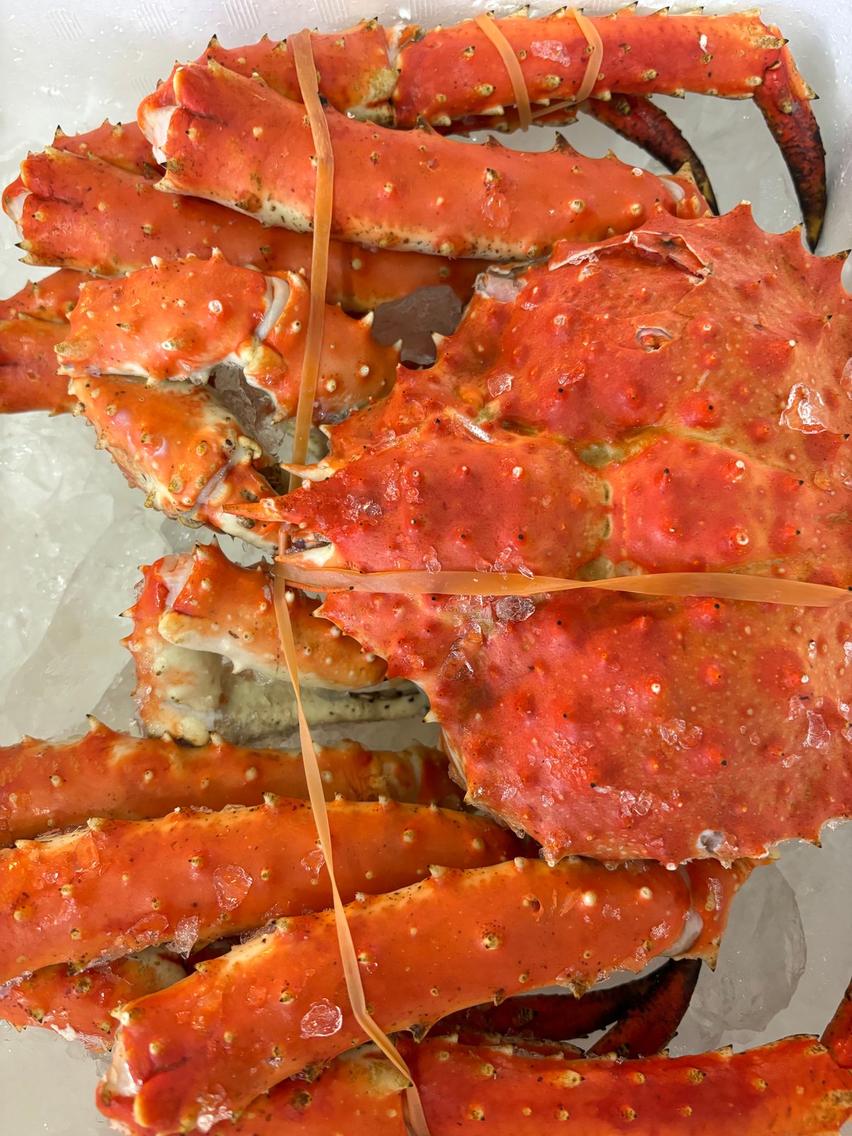 北海道産 スーパーBIG 冷凍タラバ蟹姿🦀 3.1kg‼️ | おたる夢市場