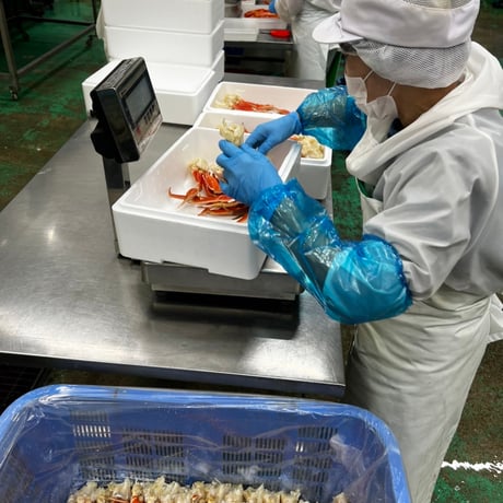 おたる夢市場オリジナル　ズワイ蟹足1kg 🦀
