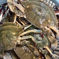 極上‼️小樽で獲れたワタリ蟹　(冷凍発送のみ)