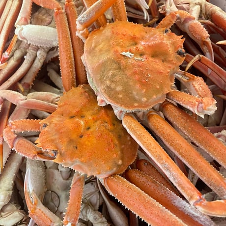 北海道産オオズワイ蟹　約2kg🦀‼️(冷凍発送)
