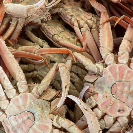 北海道産オオズワイ蟹　約2kg🦀‼️(冷凍発送)