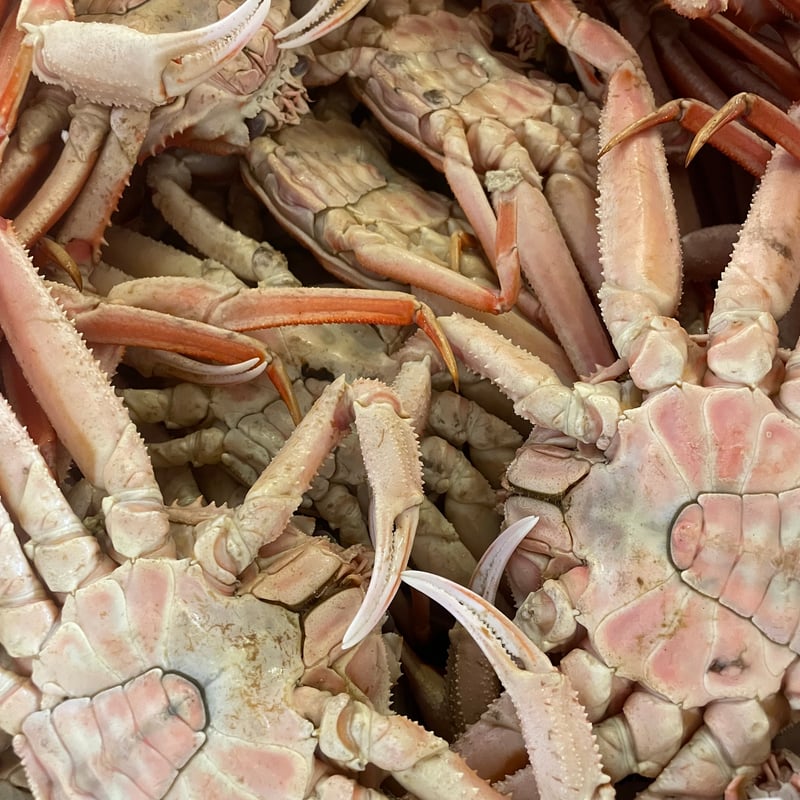北海道産オオズワイ蟹 約2kg🦀‼️(冷凍発送) | おたる夢市場