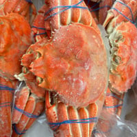 なまら安い‼️北海道産冷凍オオズワイ蟹🦀　1杯
