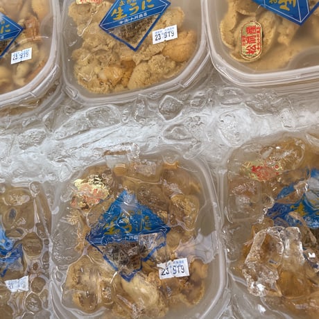 北海道産塩水ウニ　(冷蔵発送のみ)