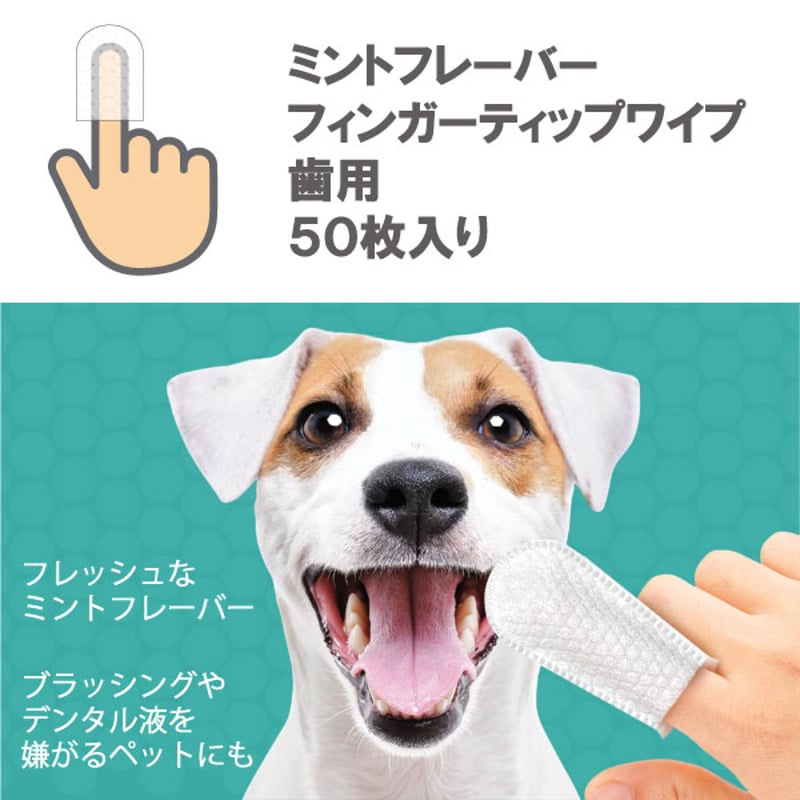 ペットキン フィンガーティップワイプ 歯用 指にはめて使う 使いやすい