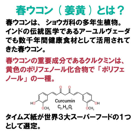 期限切迫品　春ウコン丸 キョウオウ クルクミン 山査子の実 米糠 飲みやすい 粒タイプ 1500粒入り 健康プラス 韓国製 サプリメント
