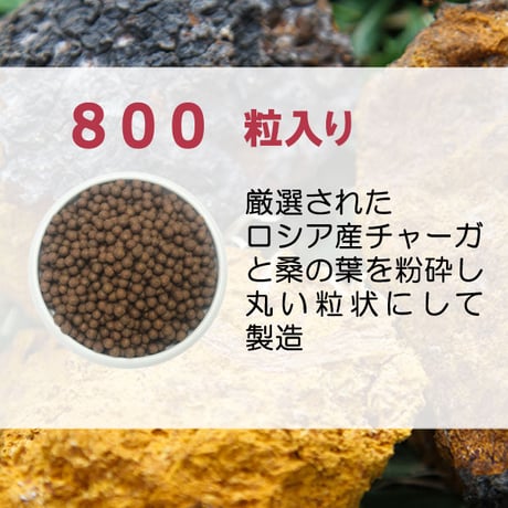 チャーガ丸  カバノアナタケ 桑の葉配合 飲みやすい 粒タイプ 800粒入り 70g 健康プラス 韓国製 サプリメント